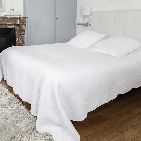 Bed & Breakfast La Demeure D'eirene Troyes
